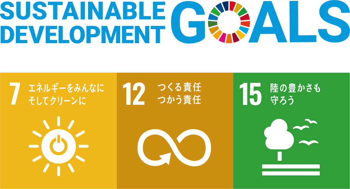 SDGs